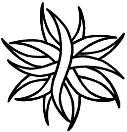 New Athens Creative, Inc.